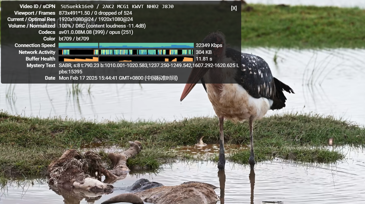 世纪互联 2025年2月月付24元&香港CN2轻量云服务器测评