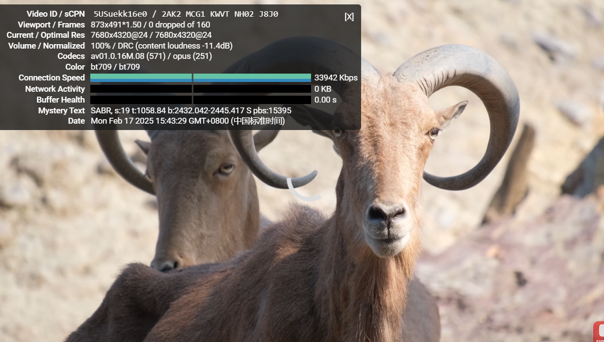 世纪互联 2025年2月月付24元&香港CN2轻量云服务器测评
