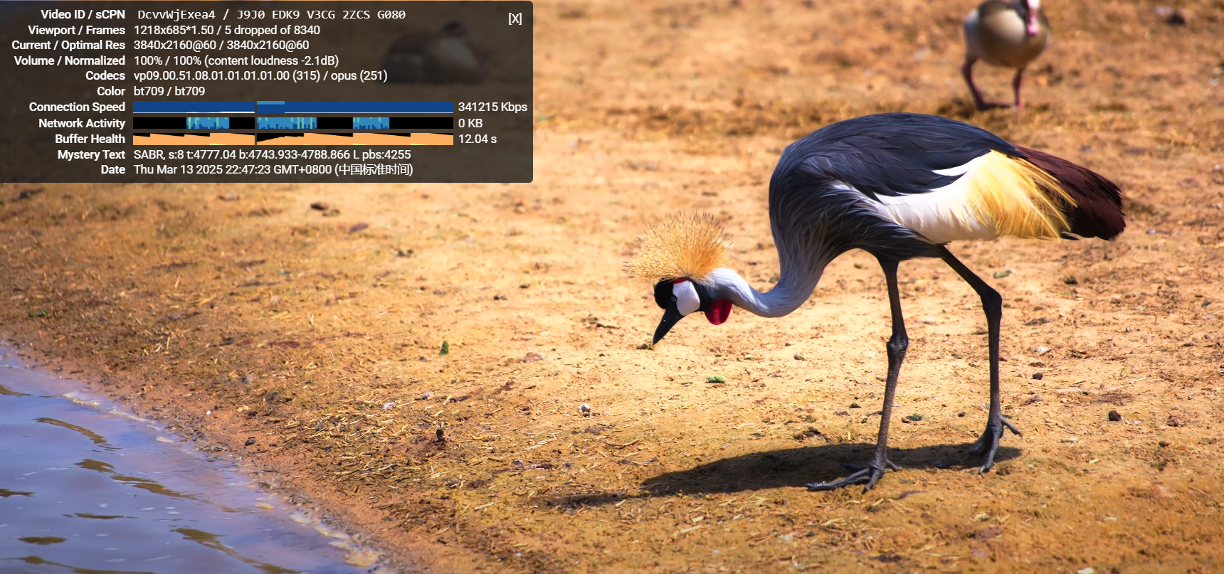 爪云香港云服务器：阿里云骨干+千兆带宽！解锁实测与线路真相全解析