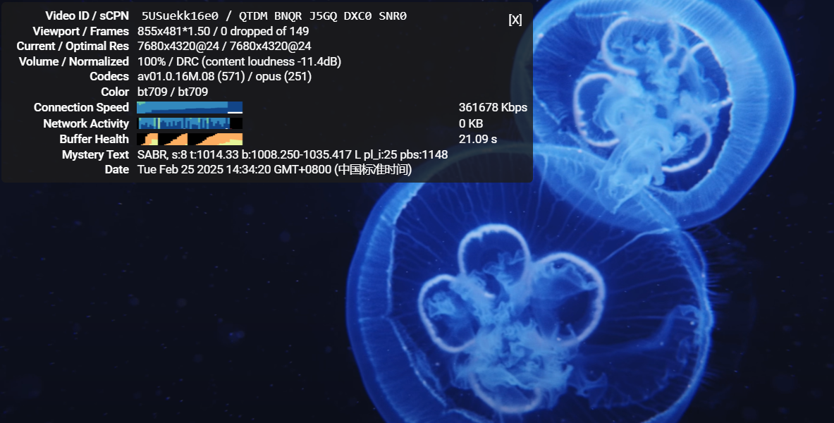 Juhost -- 香港300M大带宽vps测评
