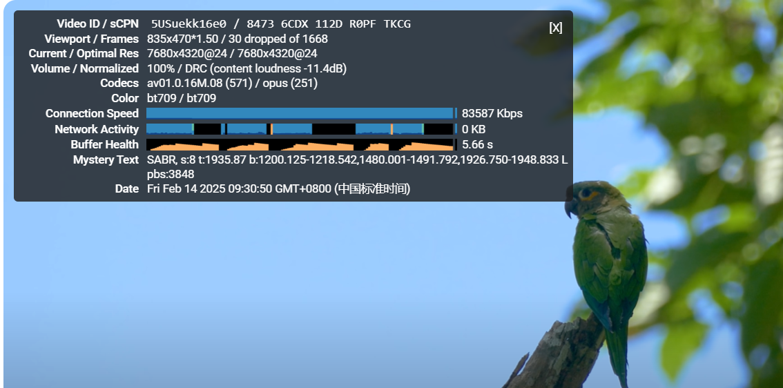 搬瓦工 vps高性价比CN2 GIA限量版套餐SPECIAL 10G KVM PROMO V5  – CN2 GIA测评