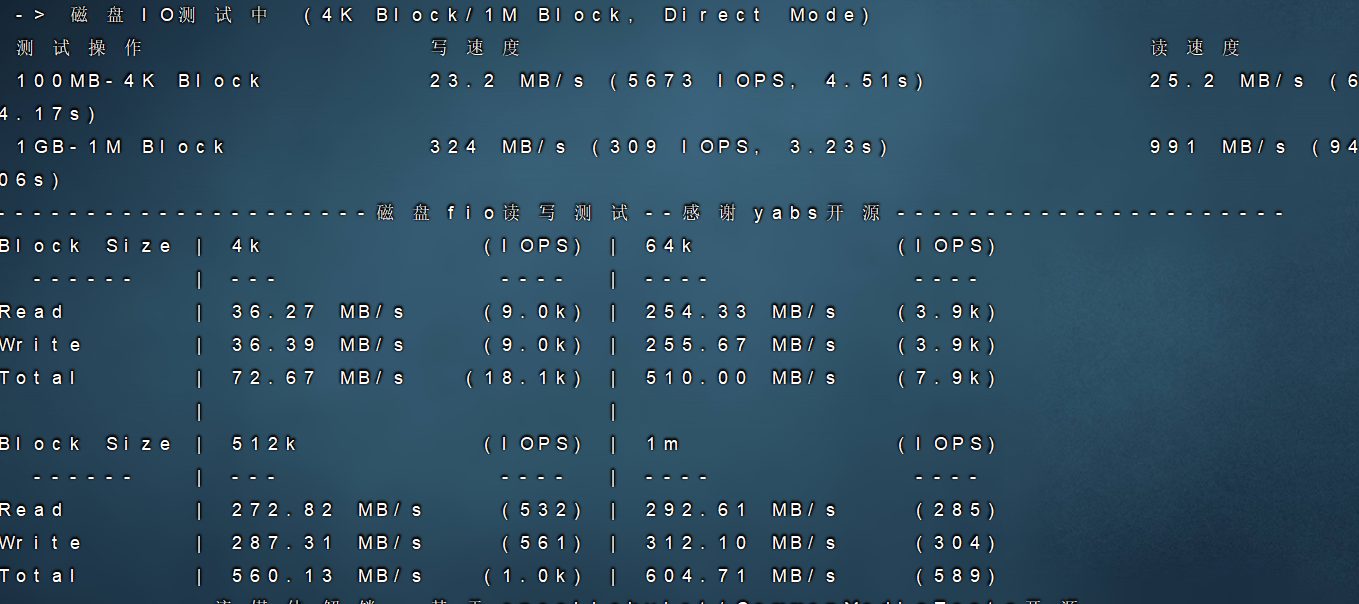 rarecloud 2025年优惠还在继续10.9欧元/年美国硅谷机房线路vps测评