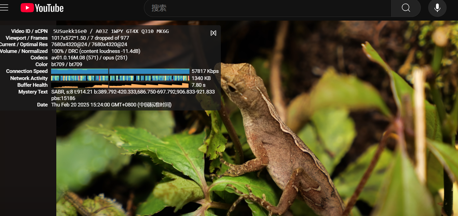 rarecloud 2025年优惠还在继续10.9欧元/年美国硅谷机房线路vps测评