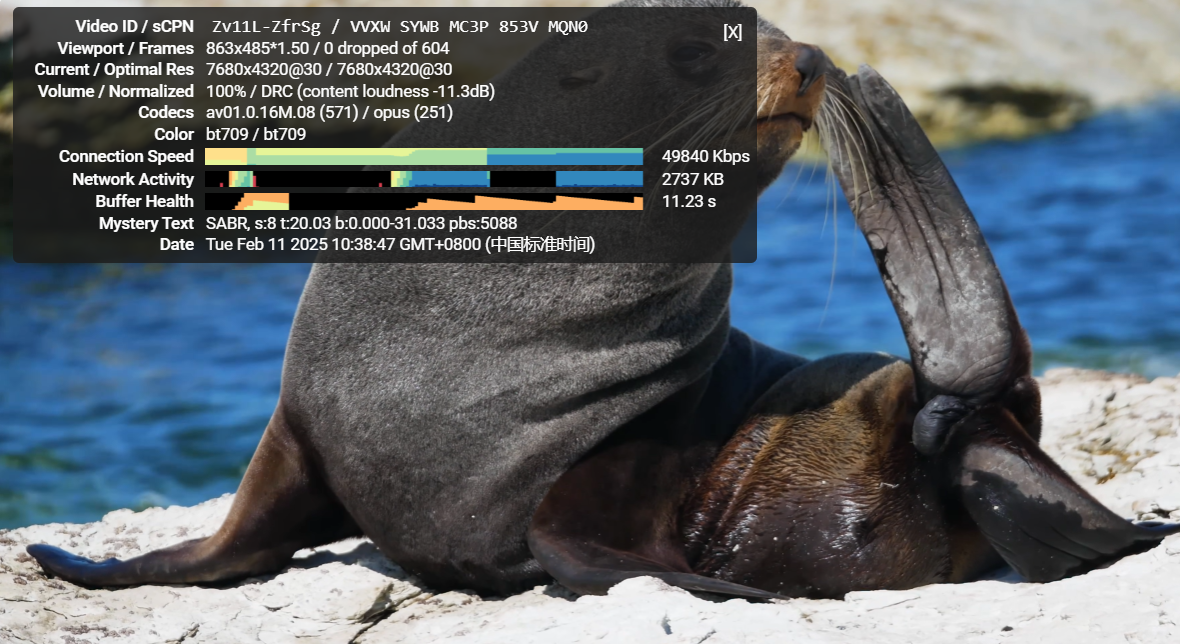 新注册送100$surfercloud洛杉矶轻量云主机&1H1G/40GB/30M/200GB月付4$vps测评