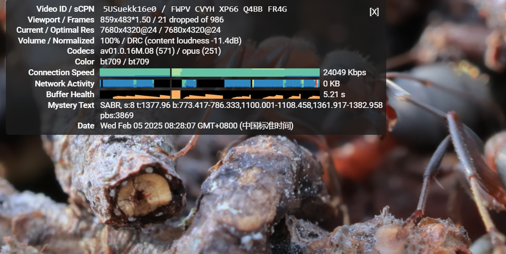 WAP.Ac  2025年1美金香港vps测评