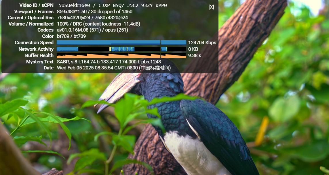 WAP.Ac  2025年1美金香港vps测评